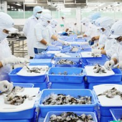 XỬ LÝ NƯỚC THẢI THỦY SẢN