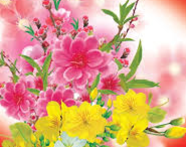 THƯ CHÚC TẾT KHÁCH HÀNG, ĐỐI TÁC XUÂN ĐINH DẬU 2017