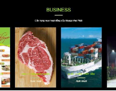 HỆ THỐNG XỬ LÝ NƯỚC THẢI (PT-...) chế biến thực phẩm Mega Việt Phát